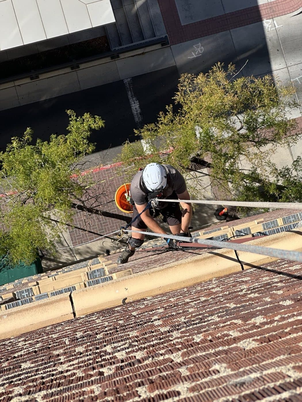 A technician inspecting a home's roofline and fascia for wildlife entry points
