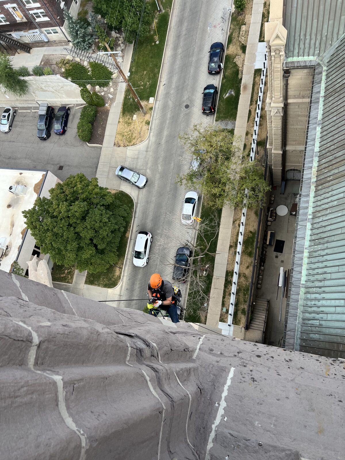 Close wall inspection during high-rise bat exclusion