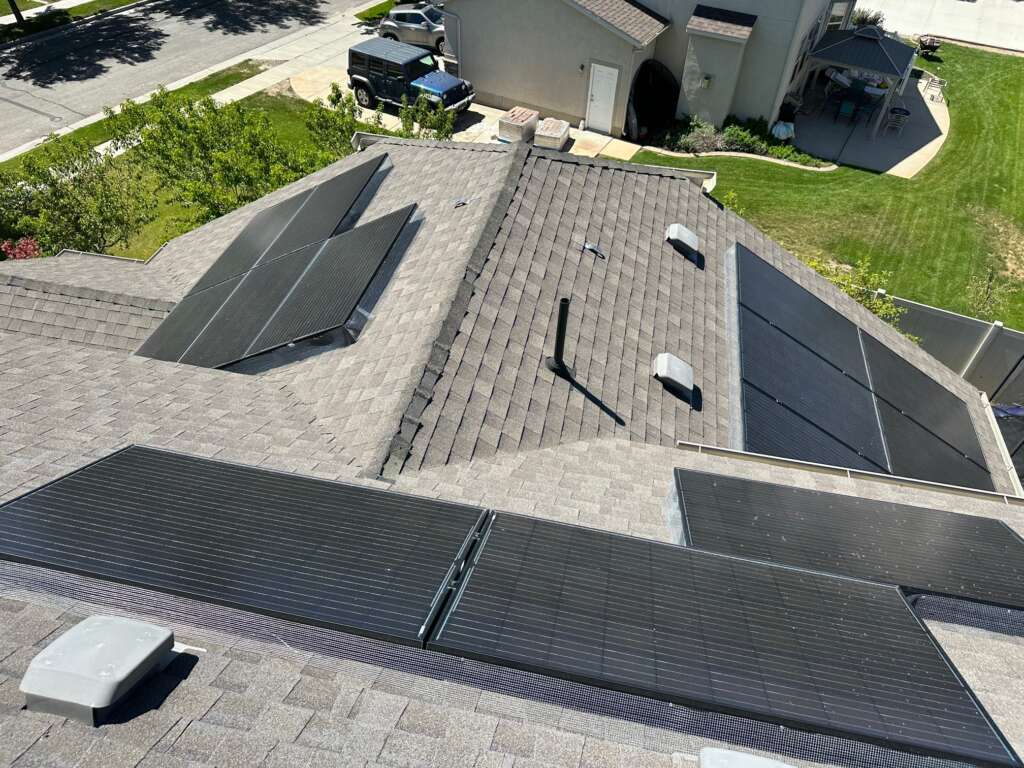 Pigeon Removal Services