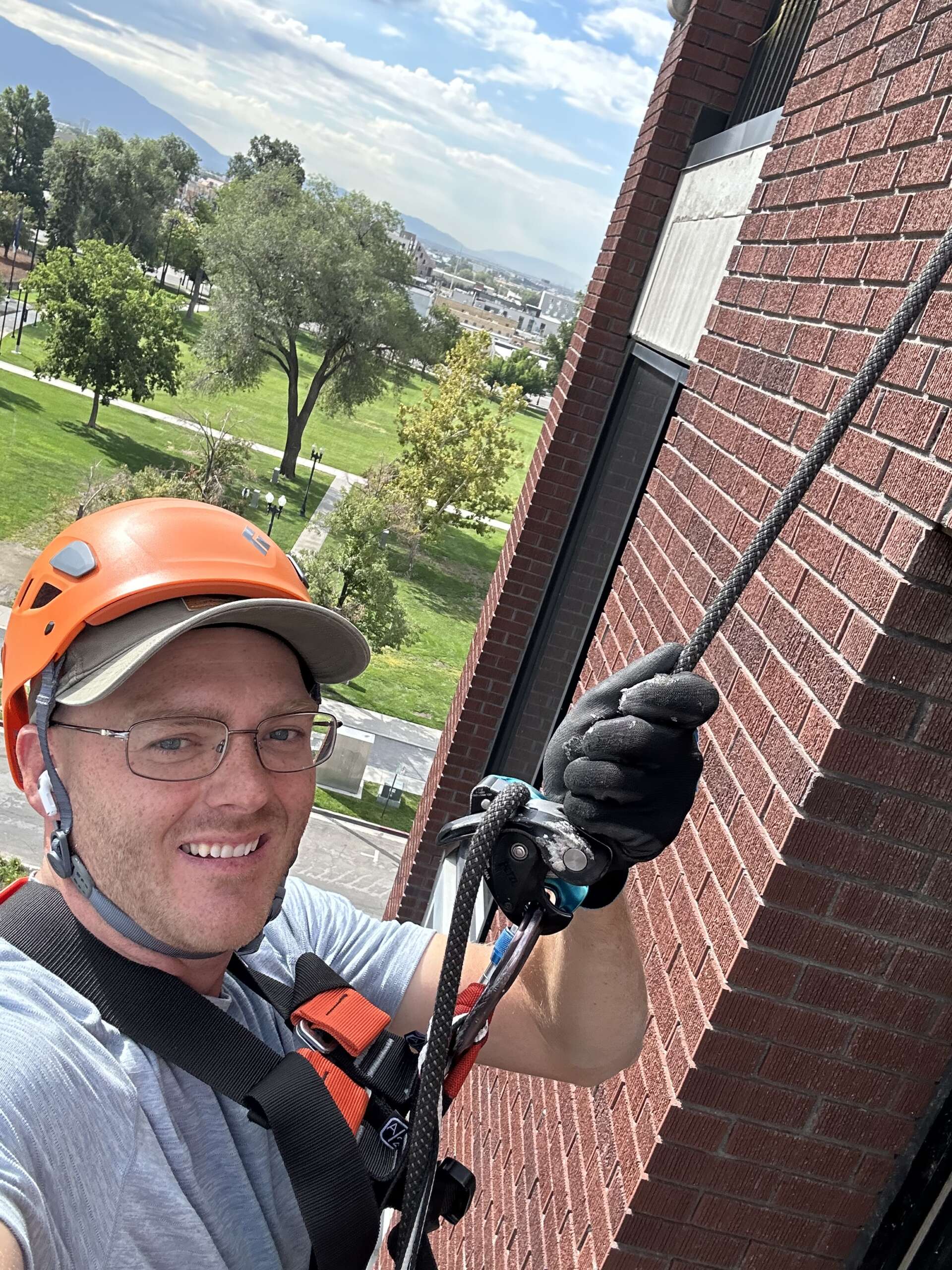 bat removal